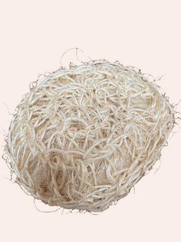 Palm Scrubby